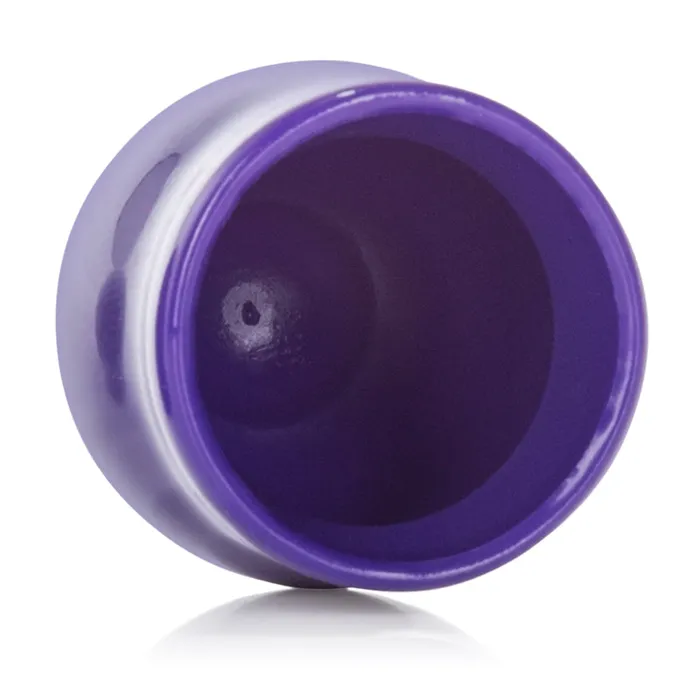Vibrators Nipple Play Mini Nipple Suckers Purple CalExotics Vibrators Nipple Play Mini Nipple Suckers Purple CalExotics